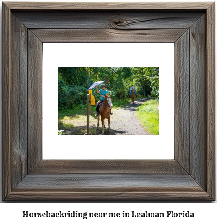 horseback riding near me in Lealman, Florida